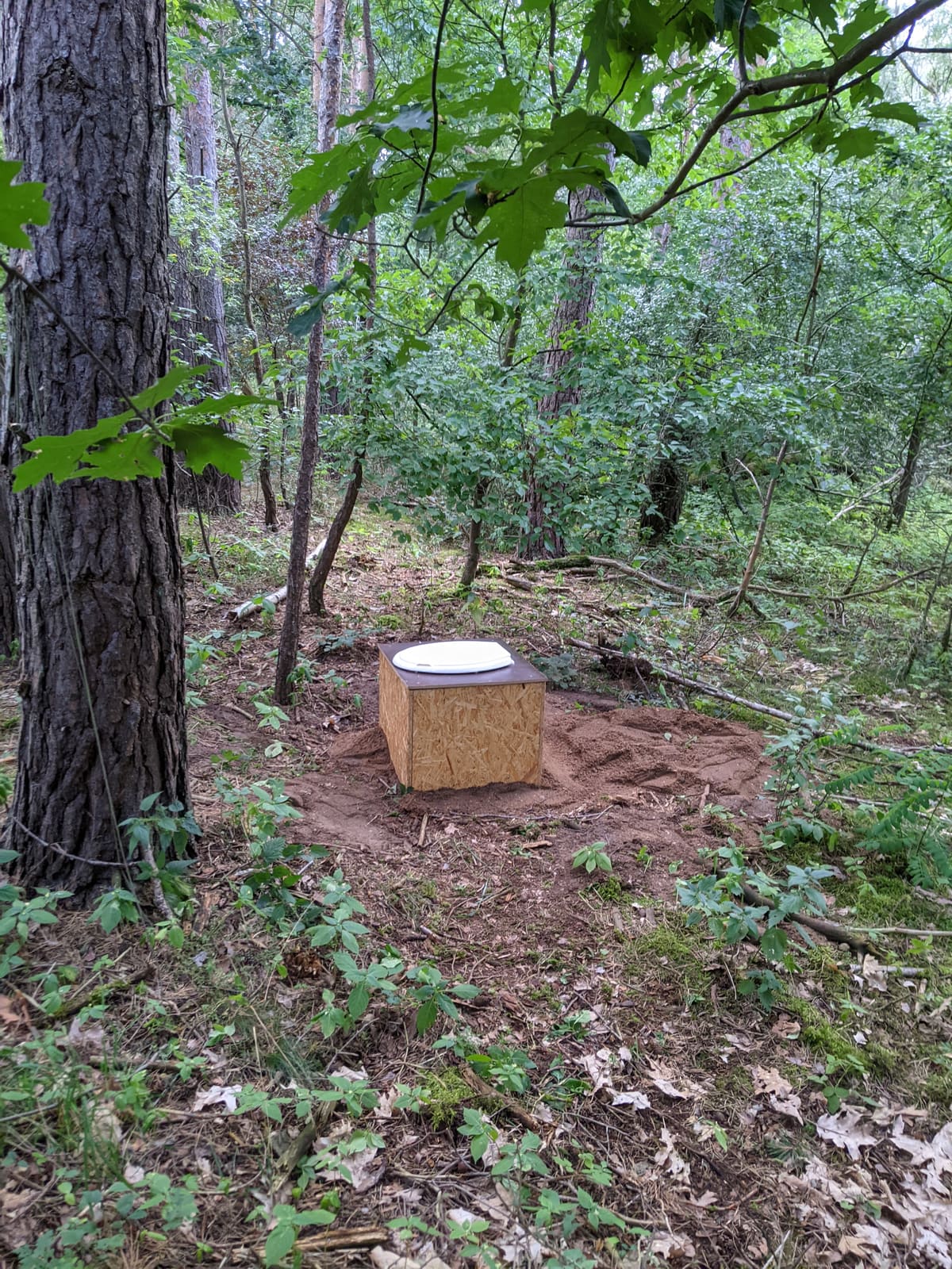 Schöne Momente memory 4